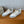 BALL STAR SNEAKERS WITH BEIGE STAR IN WHITE CALFSKIN AND GRAY SUEDE