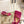 BV 26s Stretch Lace-Up Sandal 9cm Bright Pink Metallized Mesh Leather