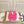 CD Thong Sandal Hot Pink Rubber 687622