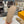 LV Venice Mule Beige Suede Sheepskin 626704