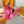 LV  MINI FLOWERGRAM 30MM REVERSIBLE BELT IN BRIGHT PINK CALFSKIN GOLD HARDWARE