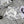 Dior 25C Short Toile de Jouy Scotland Pattern 228386
