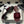 25S Embroidery Double C Mule 50mm Wine Velvet 247574