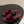 25S Embroidery Double C Mule 50mm Wine Velvet 247574
