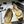CC 25P Small Hollow Mary Jane Beige Sheepskin Black Grosgrain 247724