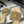 CC 25S Buckle Bag Mule Sandal 50mm Beige Lace Fabric and Sheepskin 247595