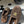 CC 2026 Loafer Suede Lambskin Fur 356382