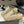 CC 25 Platform Mules Begei Sheepskin 356396
