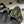 CC 25B Chain Closed Toe Flat Mule Black Sheepskin 393890