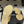 CC 25B Chain Bow Flip-flops Beige Sheepskin 393985