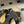 CC 26 Criss-cross Strap Slipper Black Beige Sheepskin 593304