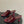 CC 26 Sandal Burgundy Patent Leather 593319