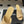 CC 26 Sandal Beige Patent Leather 593321