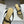 CD 26 High-Heeled Mules Black Beige Mesh Sheepskin 593588