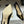 CD 26 High-Heeled 85 Pumps Black Suede 593596