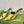 GG  Women's Heeled Sandals Golden