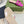 GG Cut Out Slide Sandals Pink