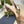 GC Horsebit Slingback Pump 100mm Beige mix Brown Canvas Sheepskin 294566