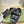 GG  Sandal With Double G Black Caro