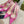 GC Horsebit Slingback Pump 100mm Pink Canvas Sheepskin 294551