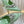 GC 2025 Crystal Embellished High Heels Slingbacks Green Silk Sheepskin 294525