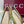 GC Signoria Slingback Pump Avocado Green Mesh Sheepskin 294522