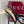 GC Signoria Slingback Pump Black Mesh Sheepskin 294519