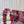 GC 25 Interlocking G Slide Sandal Rosso Ancora Red Canvas Cowhide 294644