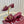 GC 25 Horsebit Sandals 50mm Red Suede Sheepskin 294653
