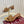 GC 25 Horsebit Sandals 50mm Brown Suede Sheepskin 294654
