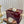 GC 25 Horsebit GG Sandals Brown Canvas Sheepskin 294662