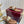 GC 25 Thong Sandal Brown Canvas Sheepskin 294670