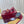 GC 25 Horsebit GG 50mm Sandals Red Canvas 294677