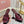Miu Buckle Mules 75mm Burgundy Patent Leather 880204