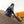 LV Nano LV Biker 23cm Black Sheepskin & Cowhide Metal