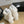 CC ANKLE BOOTS IN WHITE MIX BLACK WOOL FUR