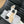CC Ankle Boot White Calfskin Black Grosgrain