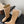 CC 26s Cambon Quilted Tall Flat Boots Beige Calfskin 969724