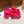 VLTN 26s Annet Mules 6.5cm Red Woven Leather 974328