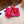 VLTN 26s Annet Mules 6.5cm Red Woven Leather 974328