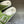 LV DAD SANDAL PEAR GREEN DAMIER CALFSKIN