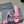 CAGOLE HIGH MULES IN SHOCKING PINK OIL-WAX SHEEPSKIN