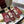 GG G75 Sneaker Burgundy Suede Mesh 818353