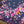 CC 25 Scarf 90CM In Navy Blue Purple Colorful Cashmere 293049