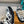 LV Skate Sneaker Black Mix White Cowhide