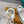 LV Skate Sneaker White Mix Beige Mesh Fabric