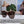 TRIOMPHE SUNGLASSES 552774 IN BABY PINK ACETATE TEXT LOGO