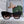 BOBBY B1U SUNGLASS 571590 IN BLACK ACETATE BROWN LENSES