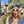 CAT EYE SUNGLASSES 576884 IN IVORY AND GOLD ACETATE
