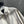 Loewe 2025 Leather Jacket White Sheepskin